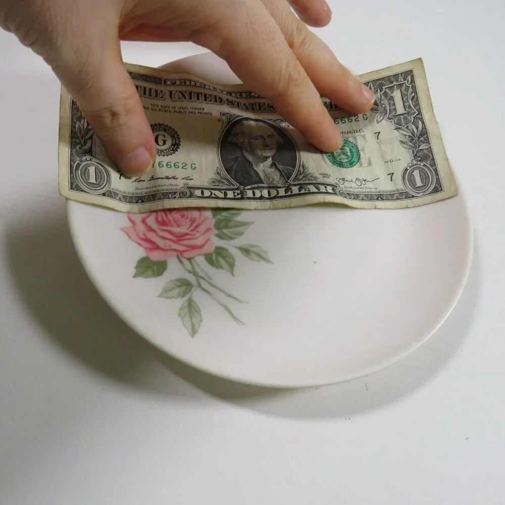 White (1) Melmac Plate with Pink Roses and Blue Flowers